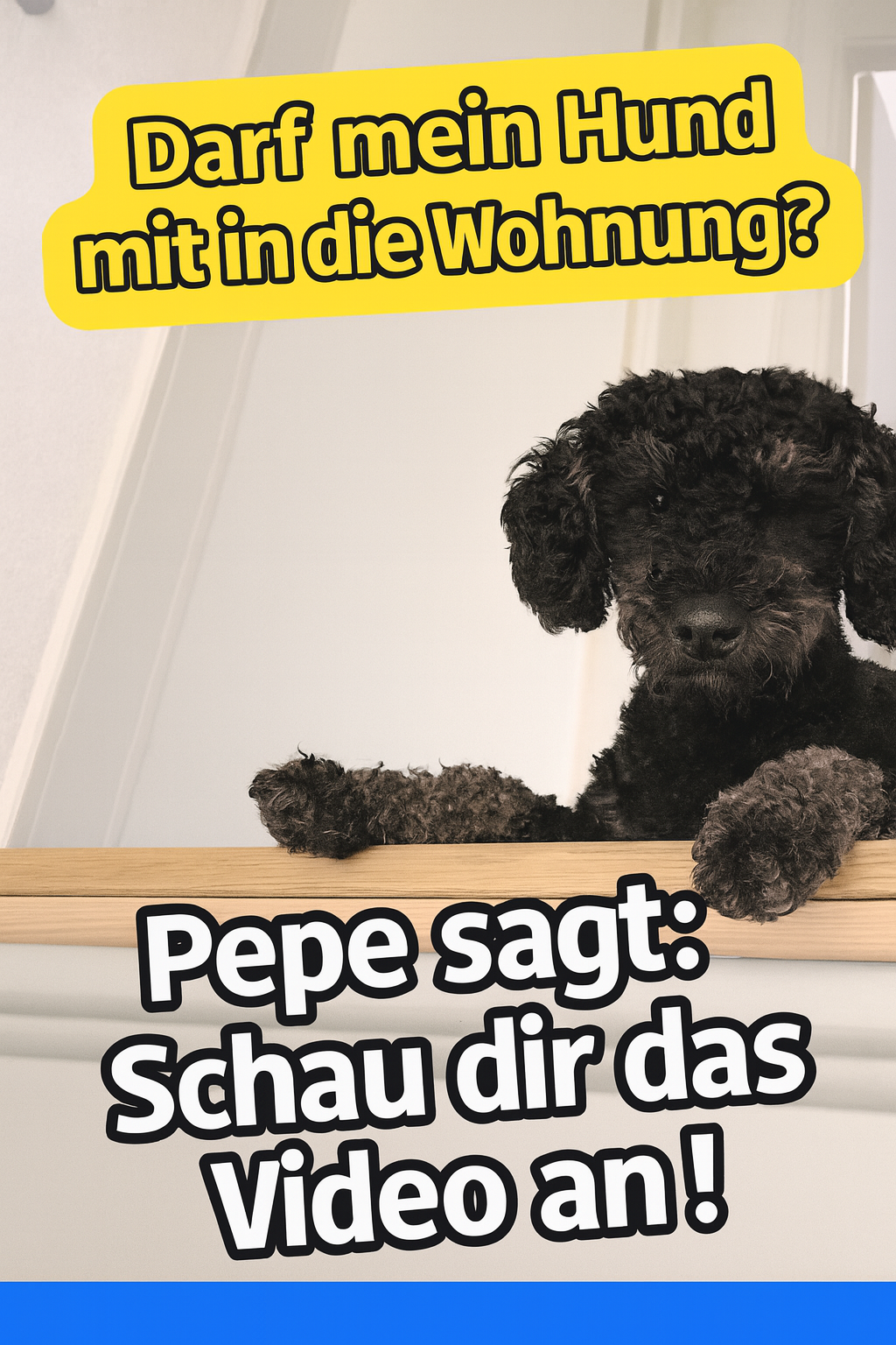 Haustiere willkommen bei urbanbnb – Zeitwohnen mit Tier